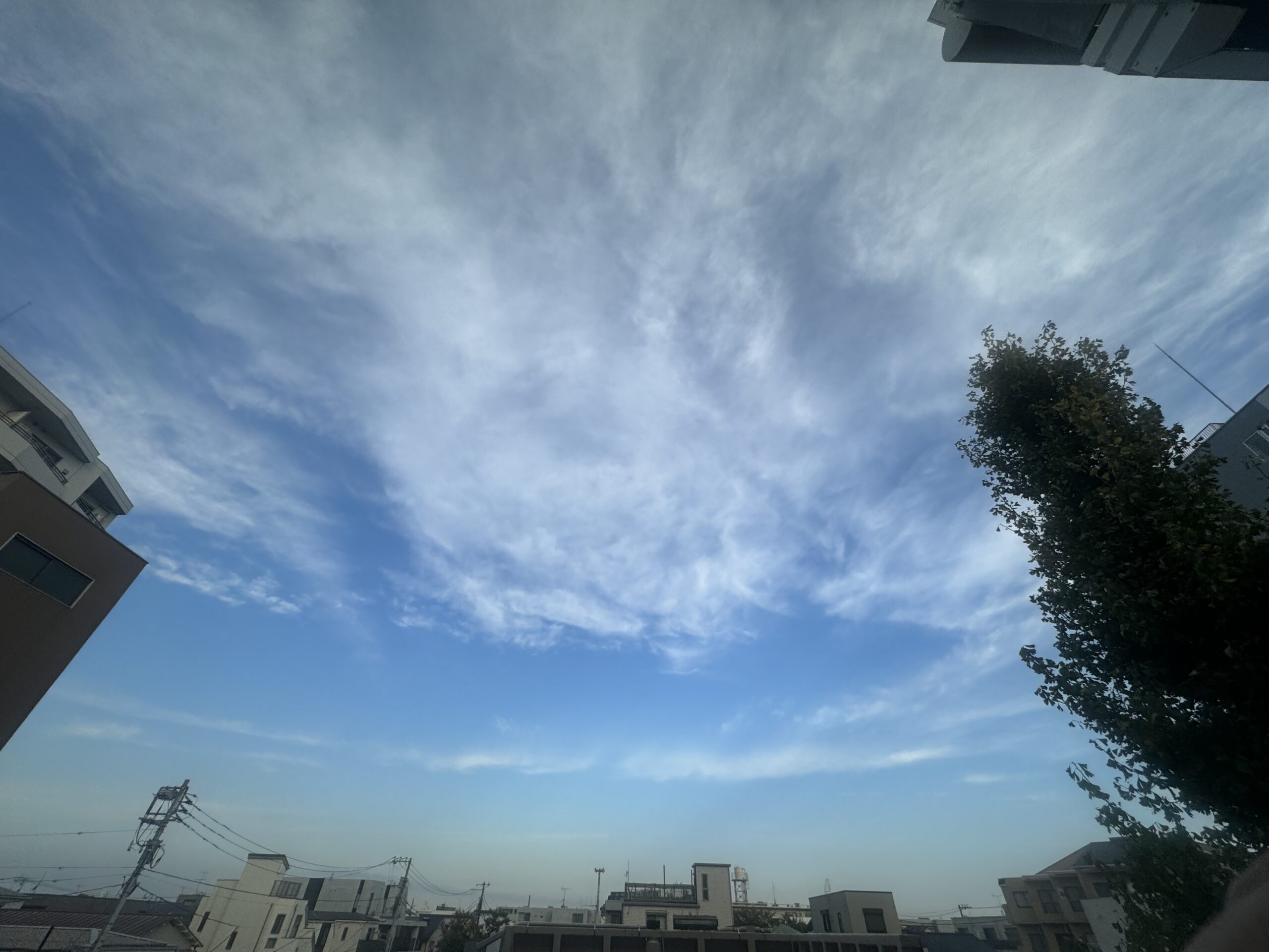 女性ホルモン活性化