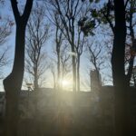 初詣