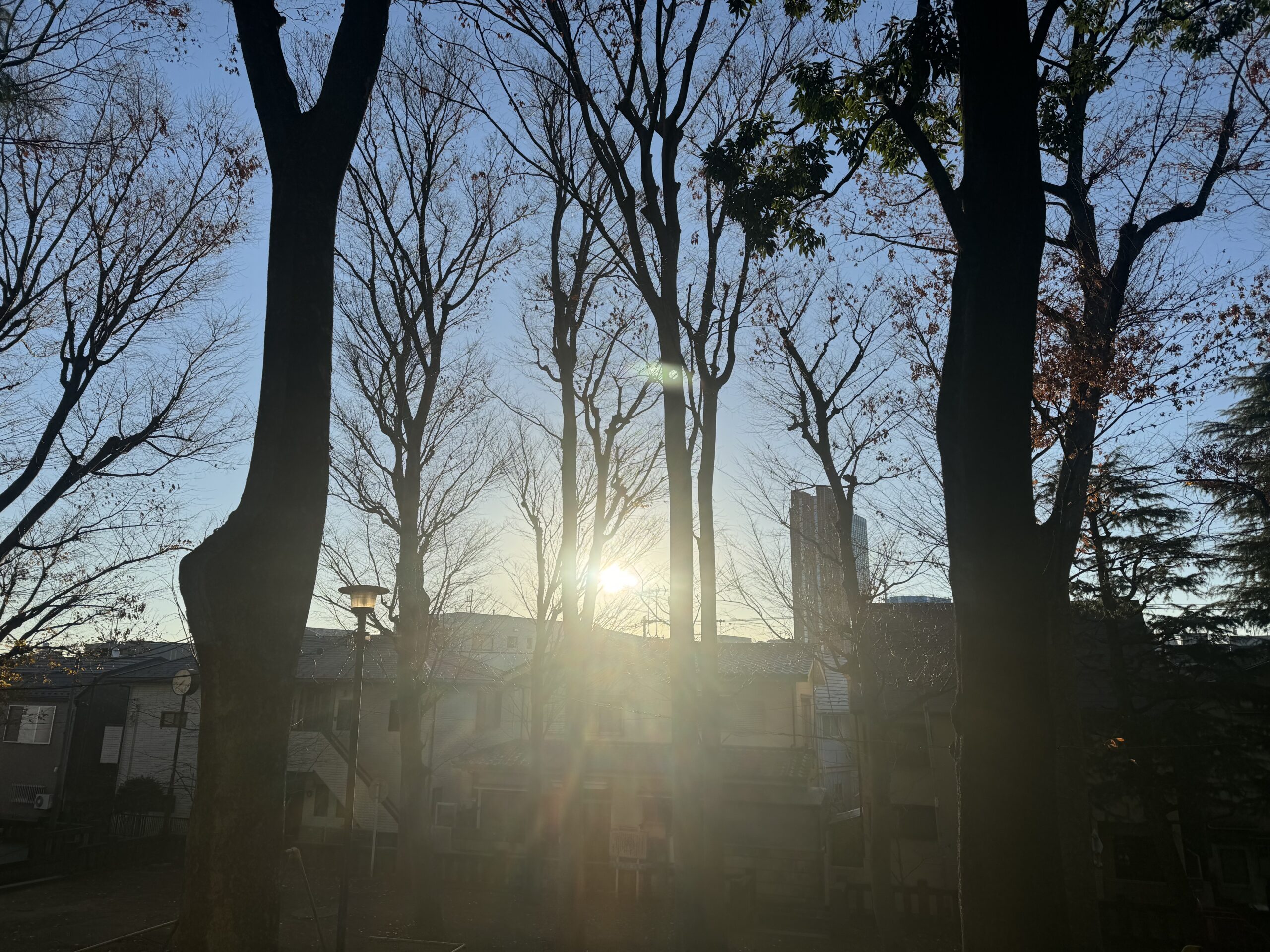 元旦