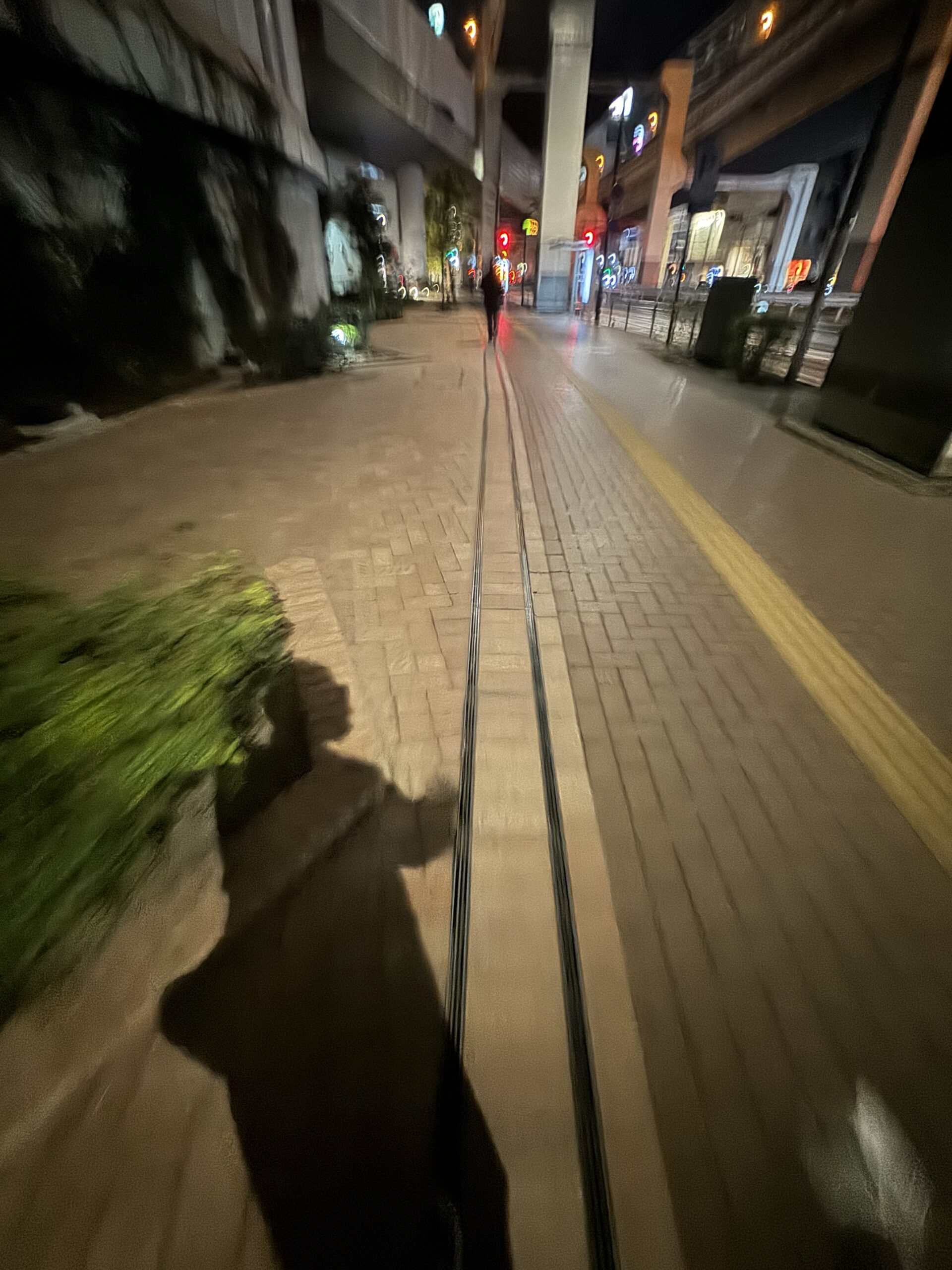 ツァイガルニク効果