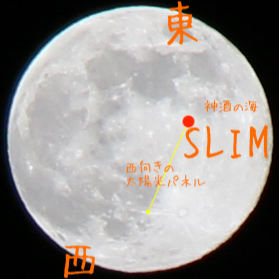 スリム