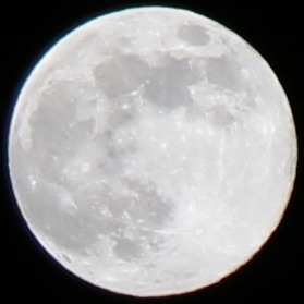 満月20240126